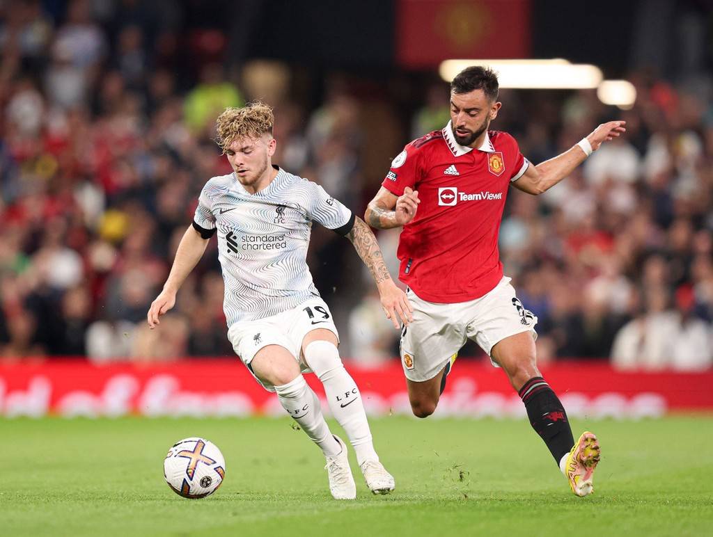 也为学校树 也为学校树