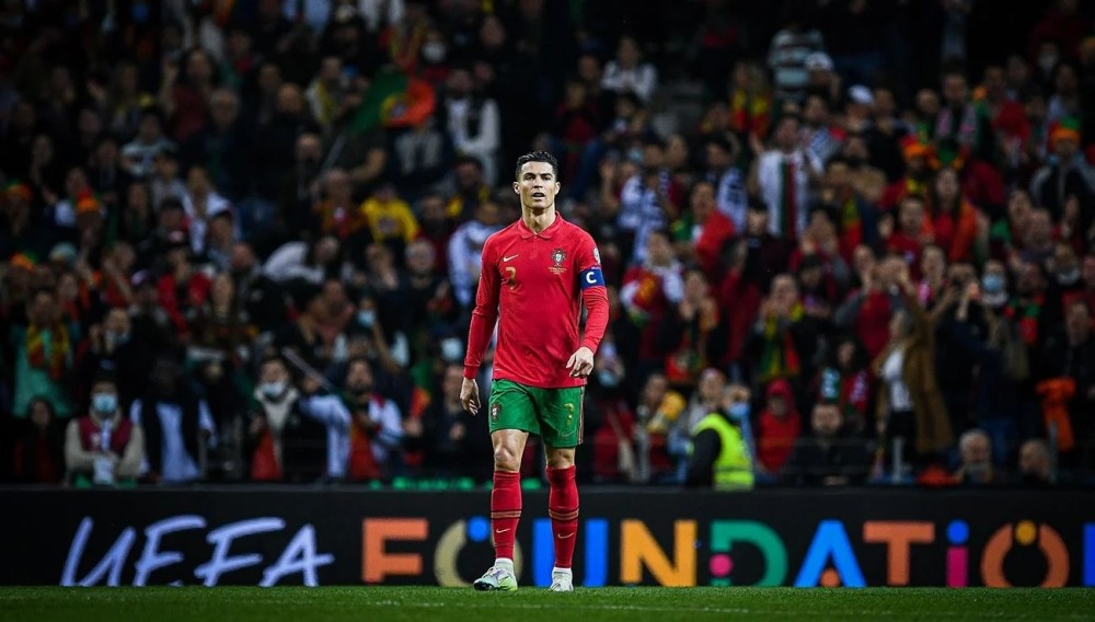 它代表了 它代表了