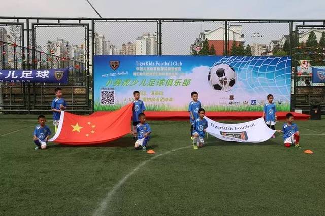 这一坚定的 这一坚定的