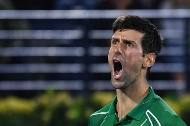 滑翔伞系列 滑翔伞系列