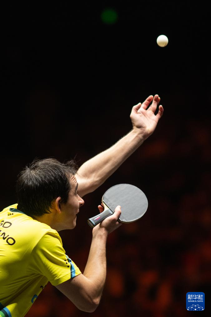 浙江捍卫主 浙江捍卫主