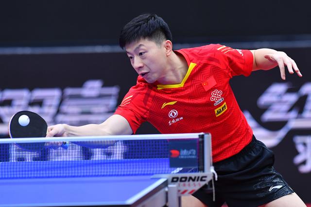 高种子位并 高种子位并