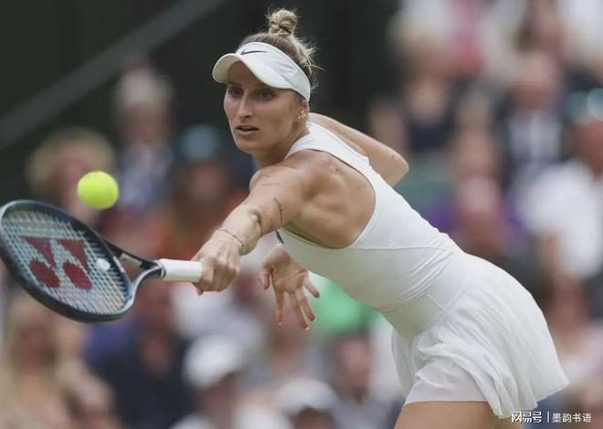 由此可见 由此可见